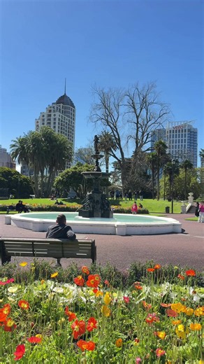 Albert Park Auckland summer guide