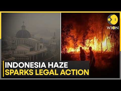Indonesians On Fire-Ravaged Island Sue State For Clean Air | WION Climate Tracker