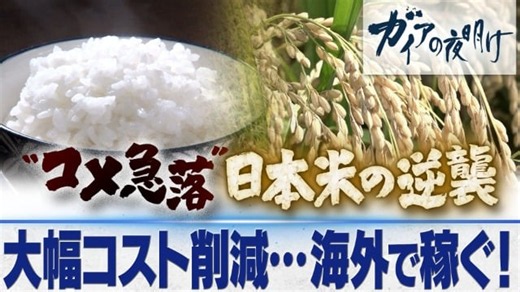 “コメ急落” 日本米の逆襲 ～農家と企業が挑む、稼げる農業～｜ガイアの夜明け|テレ東BIZ