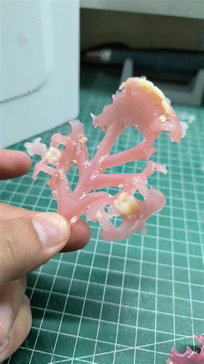 Finishing Dentures: Inject Molding & Flexible Materials