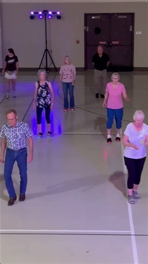 Liar (L) | Beginner Line Dance | Ingryd Marie | Liar by Jelly Roll #shawnslinedancelessons