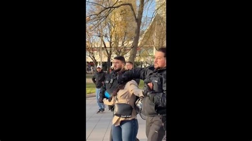 ‘Palestine will be —‘: German police smother woman’s face during arrest at Gaza protest