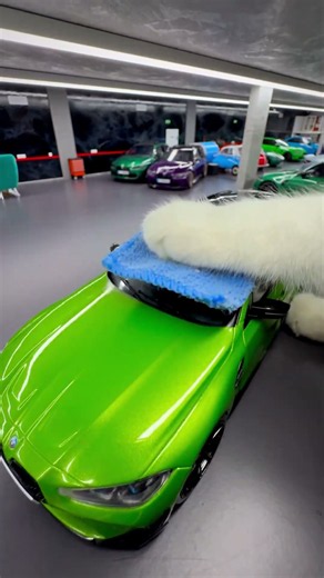 Meet Winnie, Chief Meowchanic at the BMW garage. 🔧 🐈‍⬛​ | Happy #WorldCatDay !​