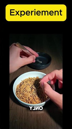 Experiment Part 1 | Easy Science Lessons