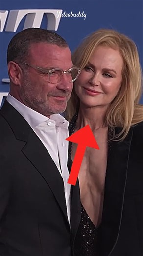 Lovely Looks Of Nicole Kidman To Liev Schreiber🔥