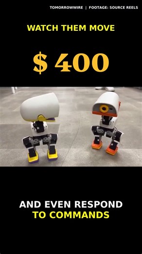 Why Is Everyone Obsessed With This $400 Robot Duck? 🦆 #nvidia #microduck