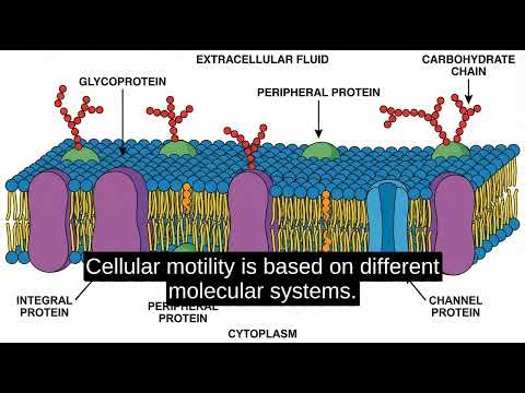 CELL BIOLOGY: Complete Guide for First-Year Medicine Students | 15-Minute Comprehensive Course