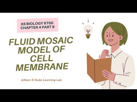 4.1(i) Cell Signalling (Part 1) | Cell Membrane & Transport | AS, AQA, OCR Level Biology(9700/7401),
