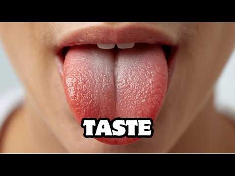 How Does Taste Work? | The Science of Flavor