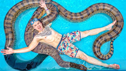 I swam with a giant green anaconda then it wrapped around me