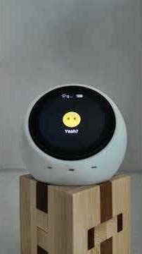 Crashing Out on AI Chat Bot(I Got Cooked)