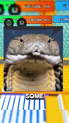 Top 5 Most Dangerous Animals 😳 #animals #scary #dangerous #top5