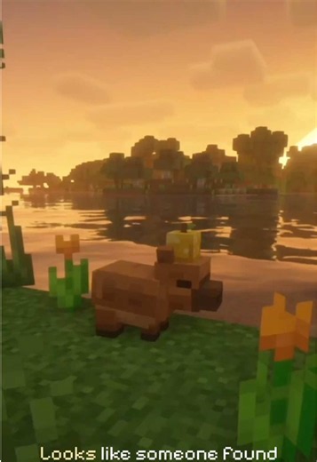 Worlds Alive Devlog 01: Tiny Fruit Hats, Snack Breaks & Capybara Appreciation
