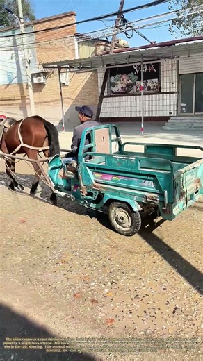 Hybrid Hauling: How a Horse and a Trike Form a Modern Carriage