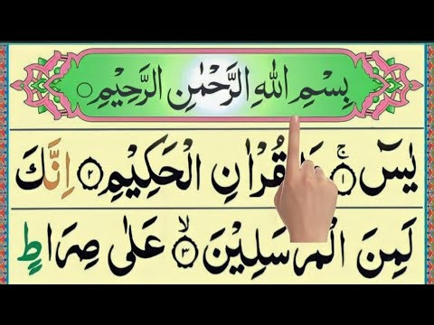 🕋Surah Yasin 0036🕋(YASEEN)Surah AR Rehman Qari javed ilahi 😭 36سورہ یس🌹| Ar_Rahman🌟| Quran Ep 1100