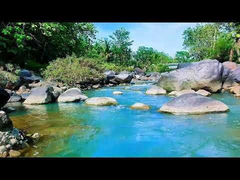 Gentle River Flow Live 24/7 – Calming Water & Green Noise for Deep Sleep & Relaxation
