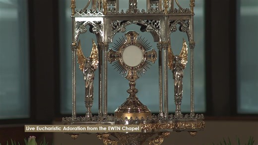Jesus is waiting for you! Spend a few minutes adoring Our Lord Jesus Christ, who truly is present in the Most Holy Eucharist. Include your intentions, and remember that the EWTN Family is always praying with you and for you! Learn about the Eucharist and get a free eBook: https://bit.ly/EWTN_Eucharist | EWTN