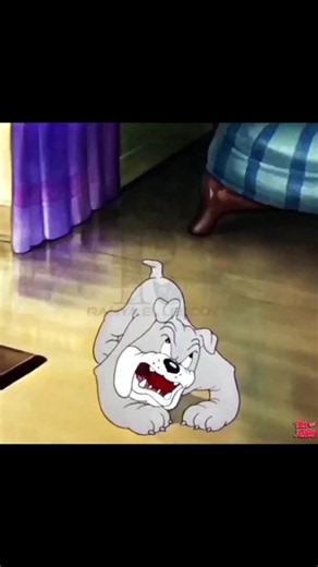Tom & Jerry’s Funniest Cat and Mouse Chaos 😂 | Classic Cartoon Comedy