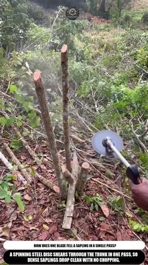 Circular Blade Brush Cutter for Clean Fast Sapling Clearing