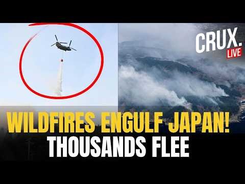 LIVE | Massive Japan Wildfires Burn Over 1,200 Hectares, Prompts Mass Evacuations as Flames Spread