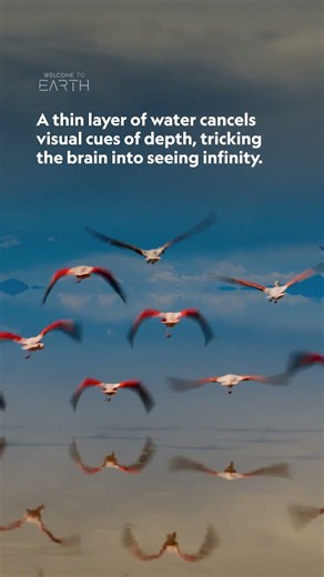 Bolivia's salt flats blur the line between Earth and the cosmos. #WelcomeToEarth #StepIntoWonder