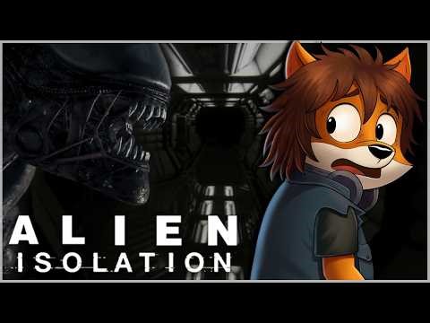 Why You Always Feel Like You’re Being Hunted