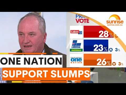 One Nation support plummets following controversial views on multiculturalism and rights | Sunrise