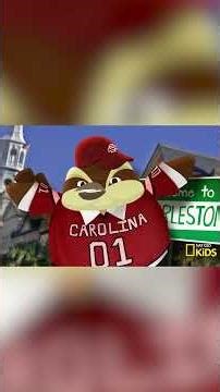 South Carolina Has a Town Called WHAT? | 50 Birds, 50 States | @natgeokids