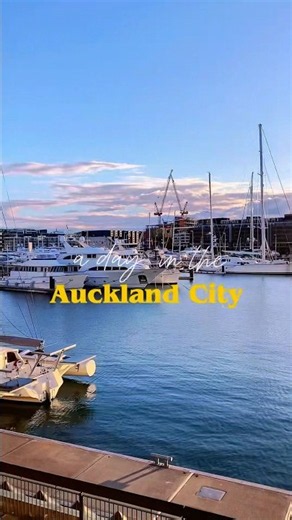 🇳🇿 A DAY in the AUCKLAND City ✨