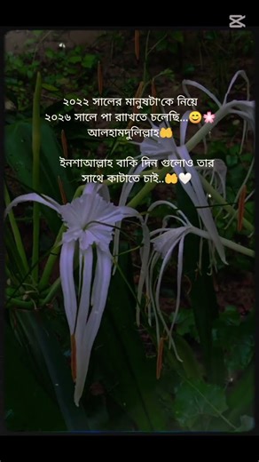 ইনশাআল্লাহ 🤲#video #love #viral #viralvideo #viralshorts #viralshort #shortvideo #shortsvideo#short