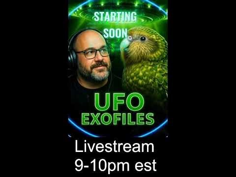 UFOs in the Last 24 Hours: Real Sightings or Just Sky Noise?" (Portrait)