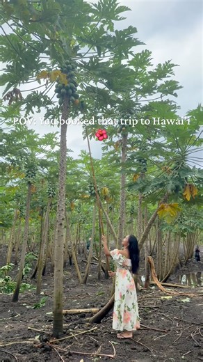 Can you tell I love Hawai’i🥹 #travel #hawaii #oahu #hawaii #bigisland #honolulu #travelshorts #vlog