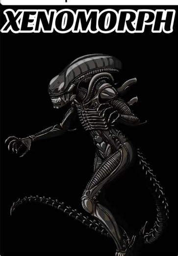 Xenomorph Rerun. #xenomorph #alien #alienromulus #horror #horrortok | alien