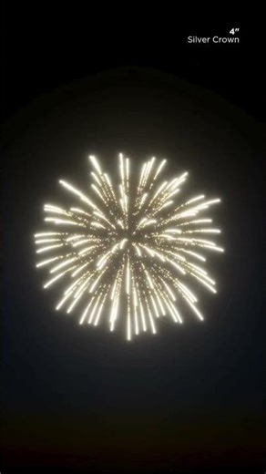 FWsim Shell | Silver Crown (4")