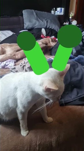 marciano