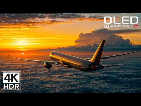 The Magic of True-to-Life Colors | 4K HDR Dolby Vision 60FPS