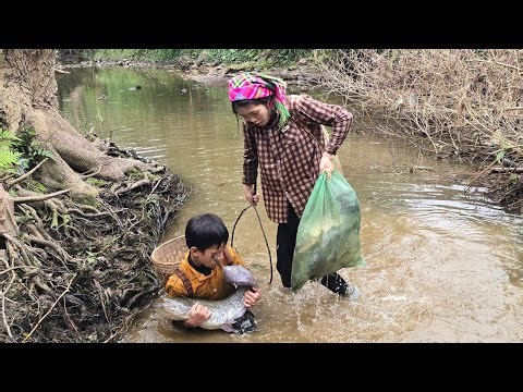 Cooking, damming the water to catch large carp and catfish to sell, daily life Highland boy khai