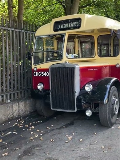 BWW 654B Towing Leyland PD3/4, CHG 540 Leyland Tiger bus PS2/14 #leylandbus #ps2 #pd3 #towing