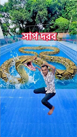Big Snake in swimming pool (part2) #seeu #funny #video #comedy #video #foryou #ytshorts