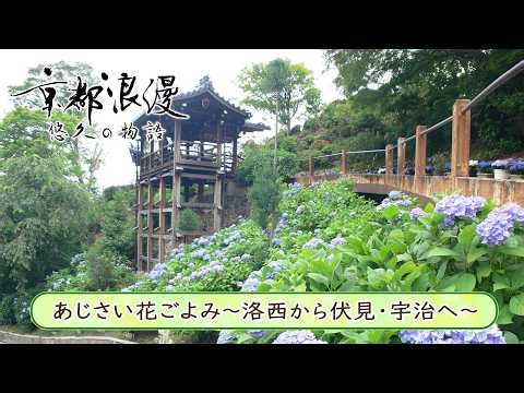 【BS11/KBS京都】「京都浪漫 悠久の物語」第195回「あじさい花ごよみ～洛西から伏見・宇治へ～」（BS11にて2026年6月15日放送分）