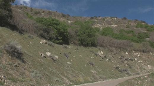 Missing man found dead in Farmington Canyon, officials confirm