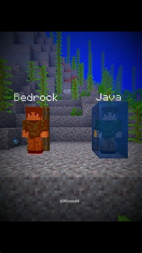Minecraft Java vs Bedrok...🤯