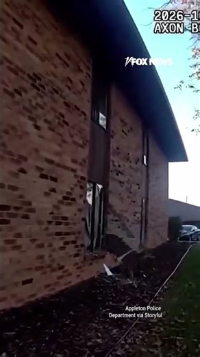 WATCH: Cops UNFAZED as deer crashes through apartment window #shorts