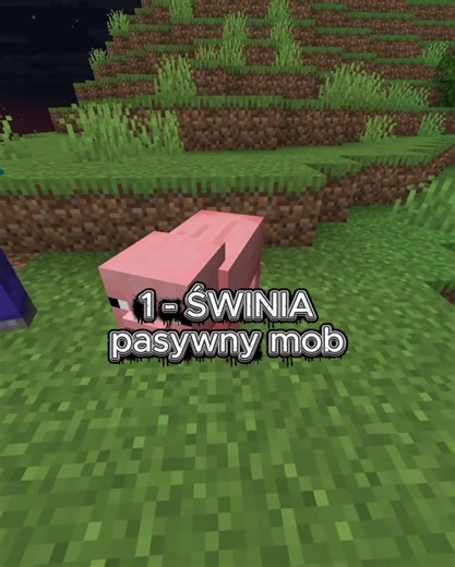2 PIERWSZE MOBY W MINECRAFT KTÓRE SĄ DO TERAZ!!!. 😮😮🤯