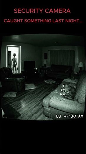 Cat vs Alien - Security Camera Caught This at 3AM 😱🐱 #shorts #alien #cat #horror