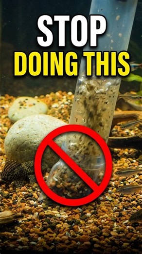 Don't Believe The Hype Fish Care Made Easy #fish #aquarium