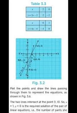 Class 10*/Ch.3*/Maths