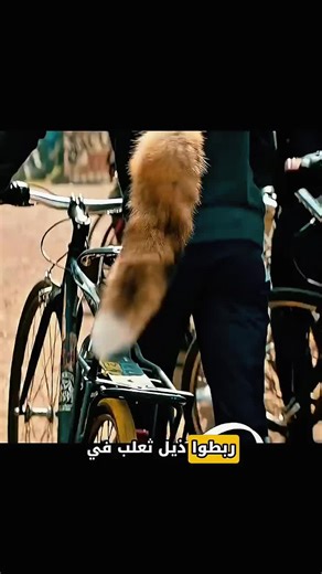 ملخصات أفلام قصيرة مثيرة للاهتمام