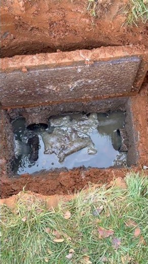 Inside a Distribution Box