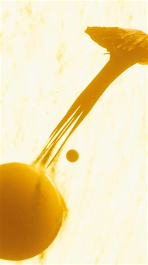 Melodysheep on Instagram: "It’s almost here: Life Beyond 4 drops on January 14 🚀 Journey across the universe to discover alien life forms that may be traveling between planets, star systems, and even galaxies, seeding worlds by accident or by design— including potentially Earth itself. Originally slated for December, the film needs a couple more weeks to polish up. Stoked to share what I’ve been cooking. Hold on to your butts…"